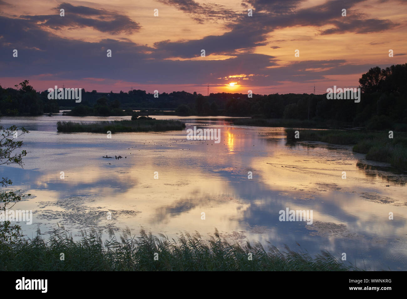 NSG bird sanctuary Garstadt, district Schweinfurt, Lower Franconia ...