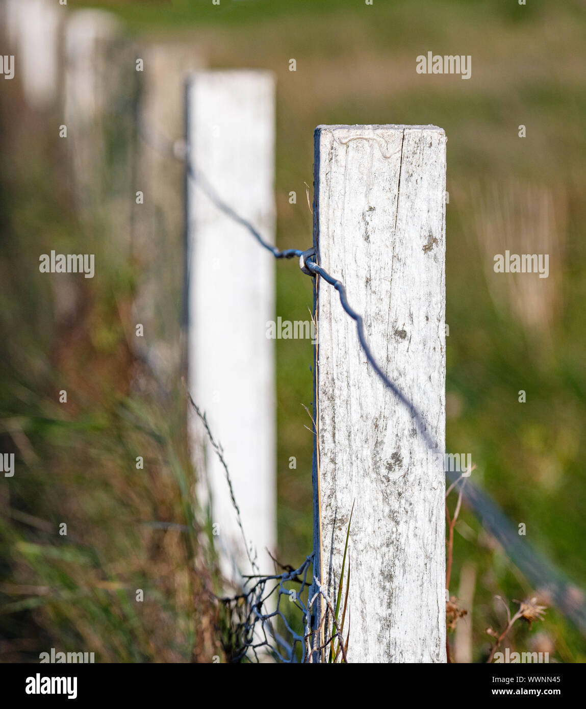 White wooden fence hi-res stock photography and images - Alamy