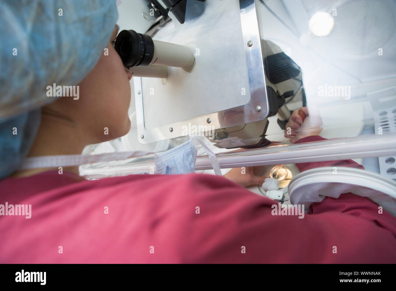 Embryologist adding sperm to egg in laboratory Stock Photo Alamy