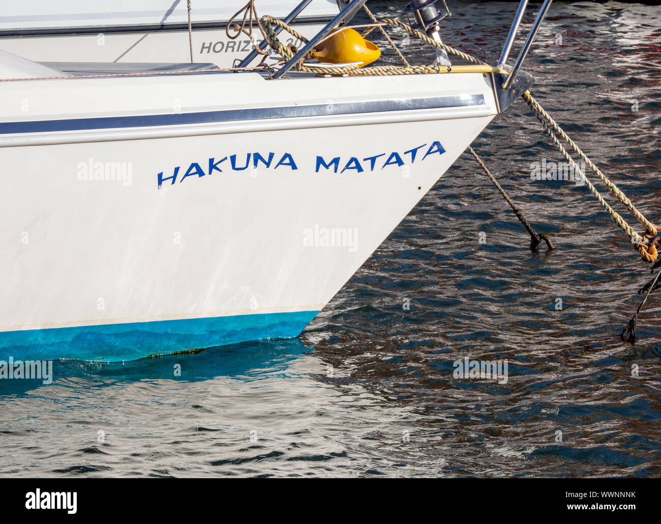 Hakuna Matata Stock Photo