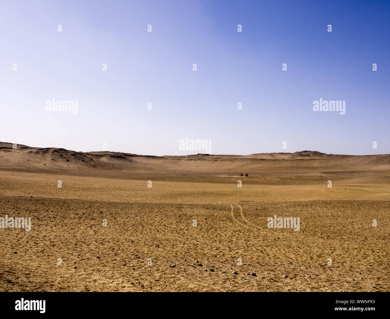 Eastern Desert Stock Photo
