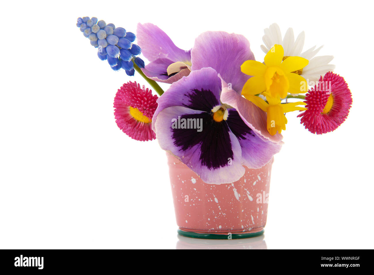 Mixed garden bouquet in little bucket isolated over white background Stock Photo Alamy