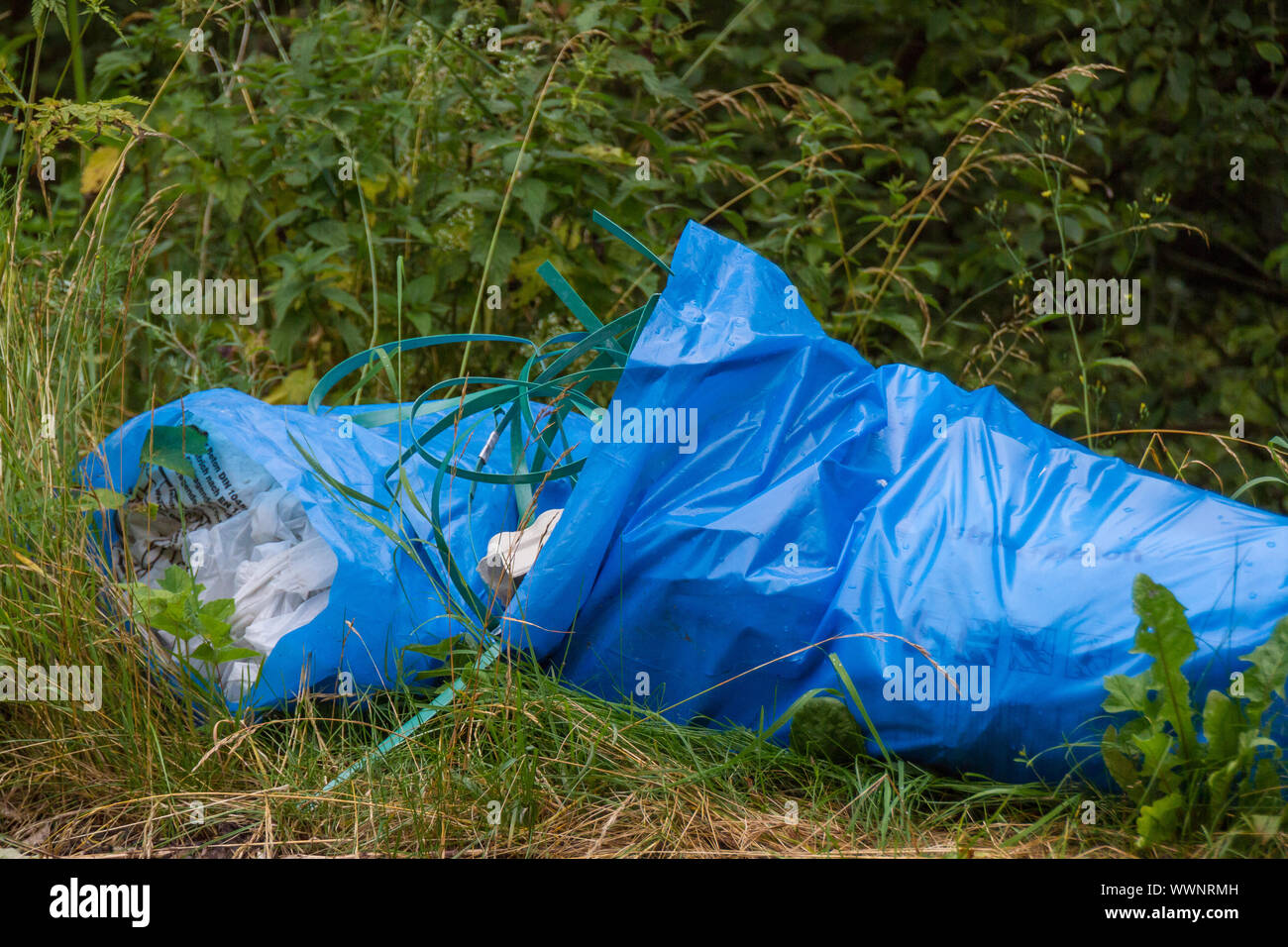 illegal disposal of waste Stock Photo Alamy