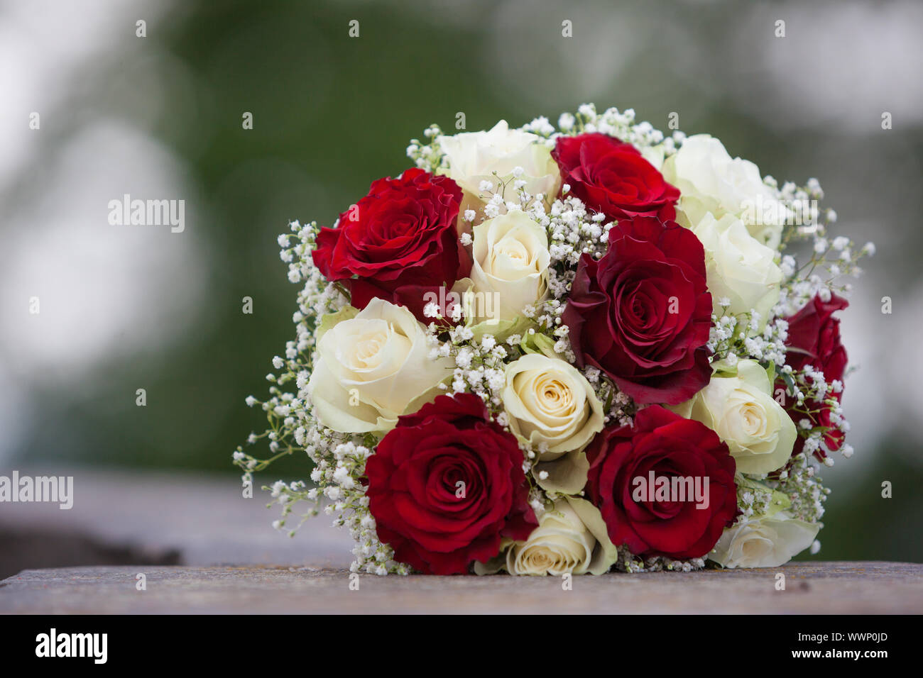 Bridal bouquet white and red roses Stock Photo