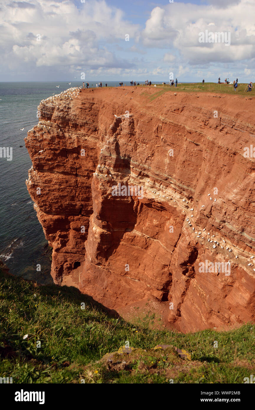 Helgoland, Deutschland. 07th Sep, 2019. View of the ocher-red rocky coast (Buntsandstein) in the west of the North Sea island Helgoland, recorded on 07.09.2019 | usage worldwide Credit: dpa/Alamy Live News Stock Photo
