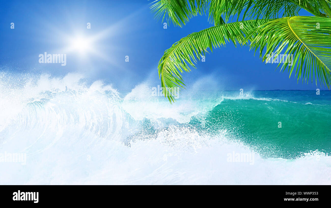 Hawaii beach clean hi-res stock photography and images - Alamy