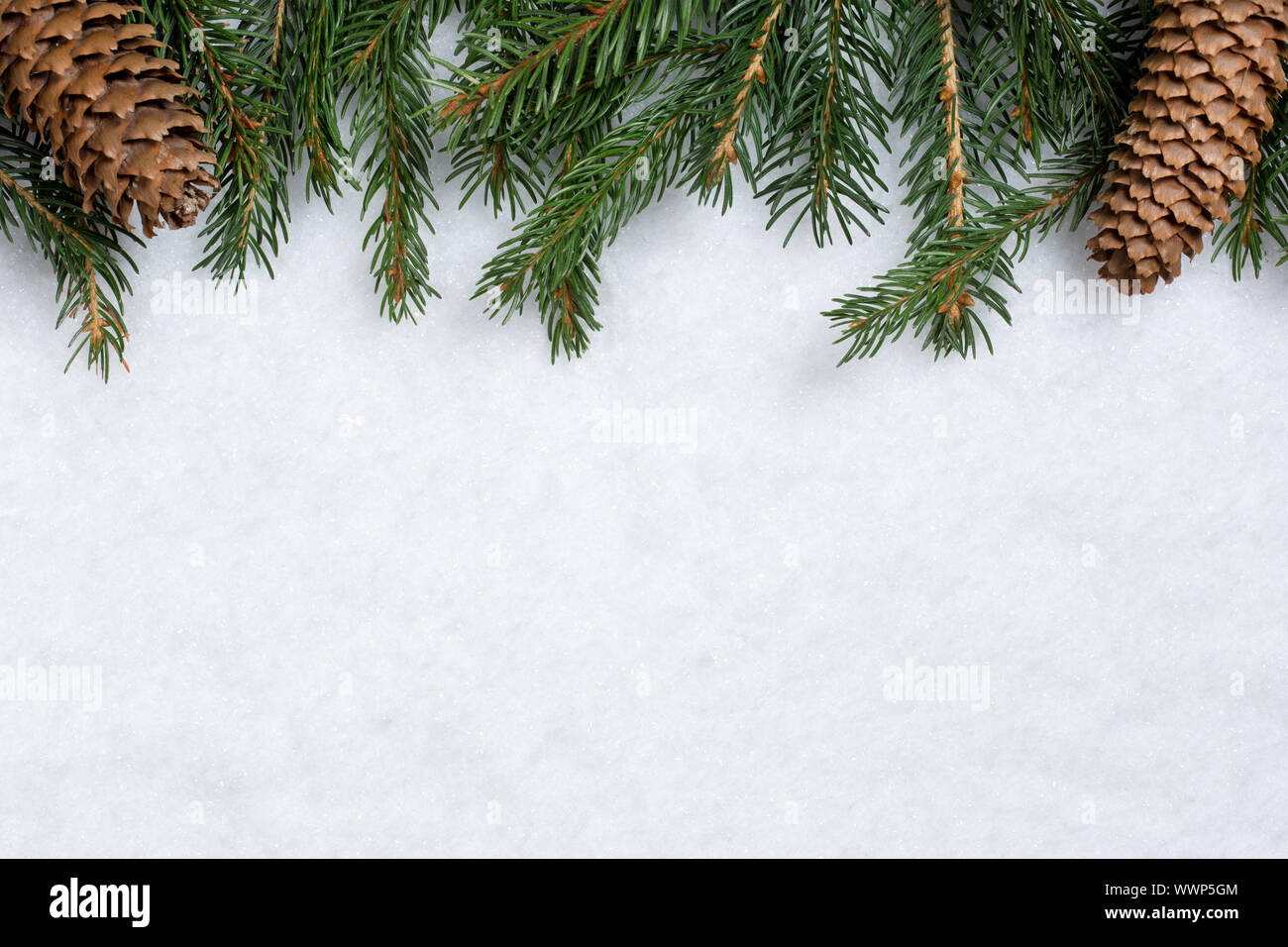 Christmas background with fir, fir branches, fir cones and snow Stock ...