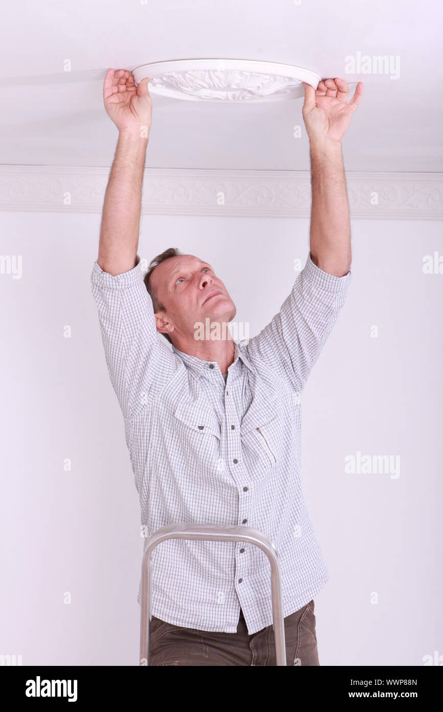 fixing, plaster ceiling rose Stock Photo Alamy