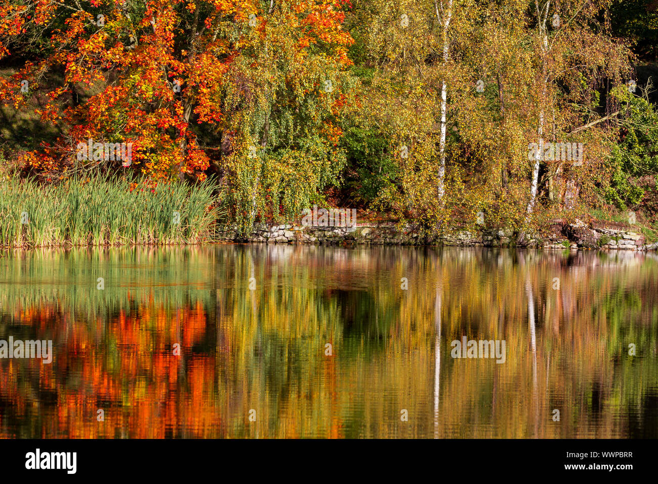 Red and orange colours hi-res stock photography and images - Alamy