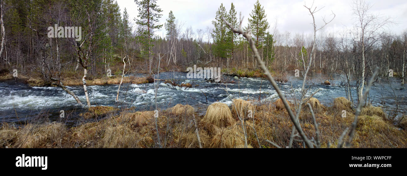 Spring flood in the forest Panorama Stock Photo