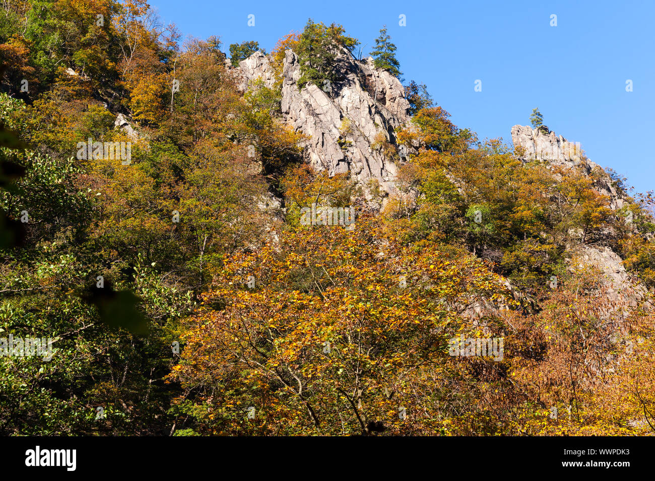 Bodetal Harz Harz witches stairs view of the rocks Stock Photo
