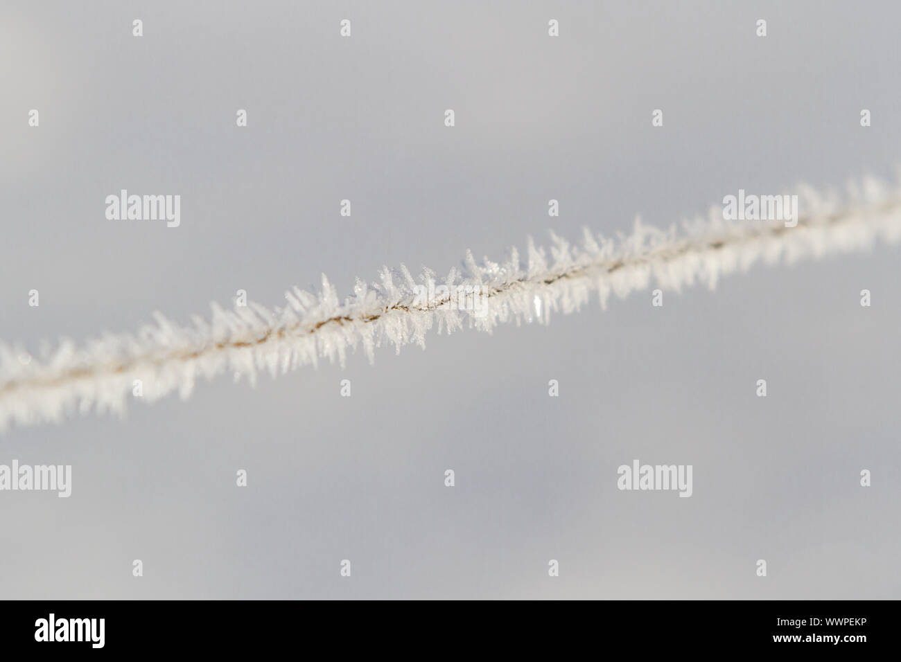 Frost Ice Crystals Stock Photo Alamy