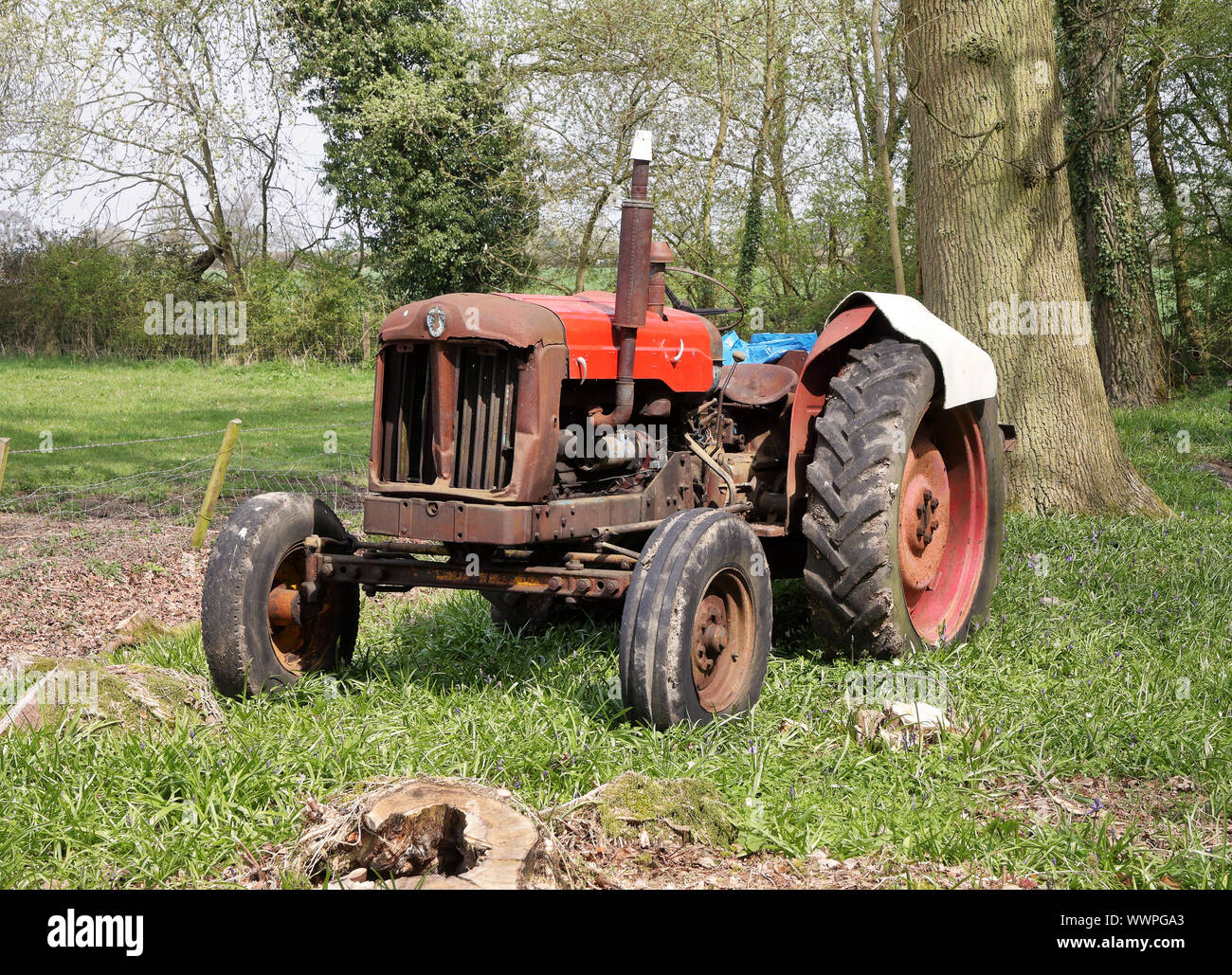 Old Fordson Tractor in an English Woodland Glade in Spring Stock Photo