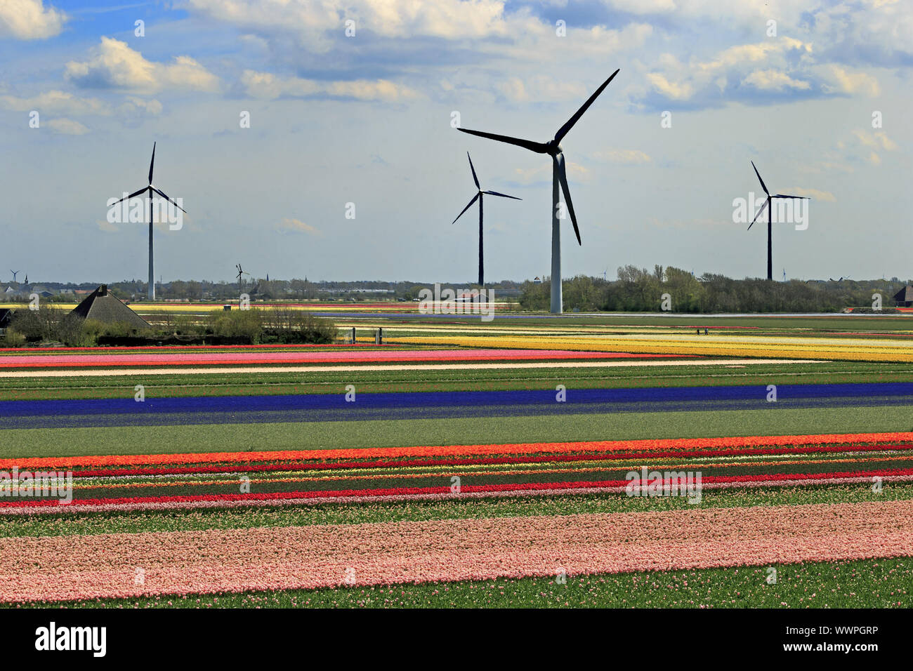 Holland travel hi-res stock photography and images - Alamy