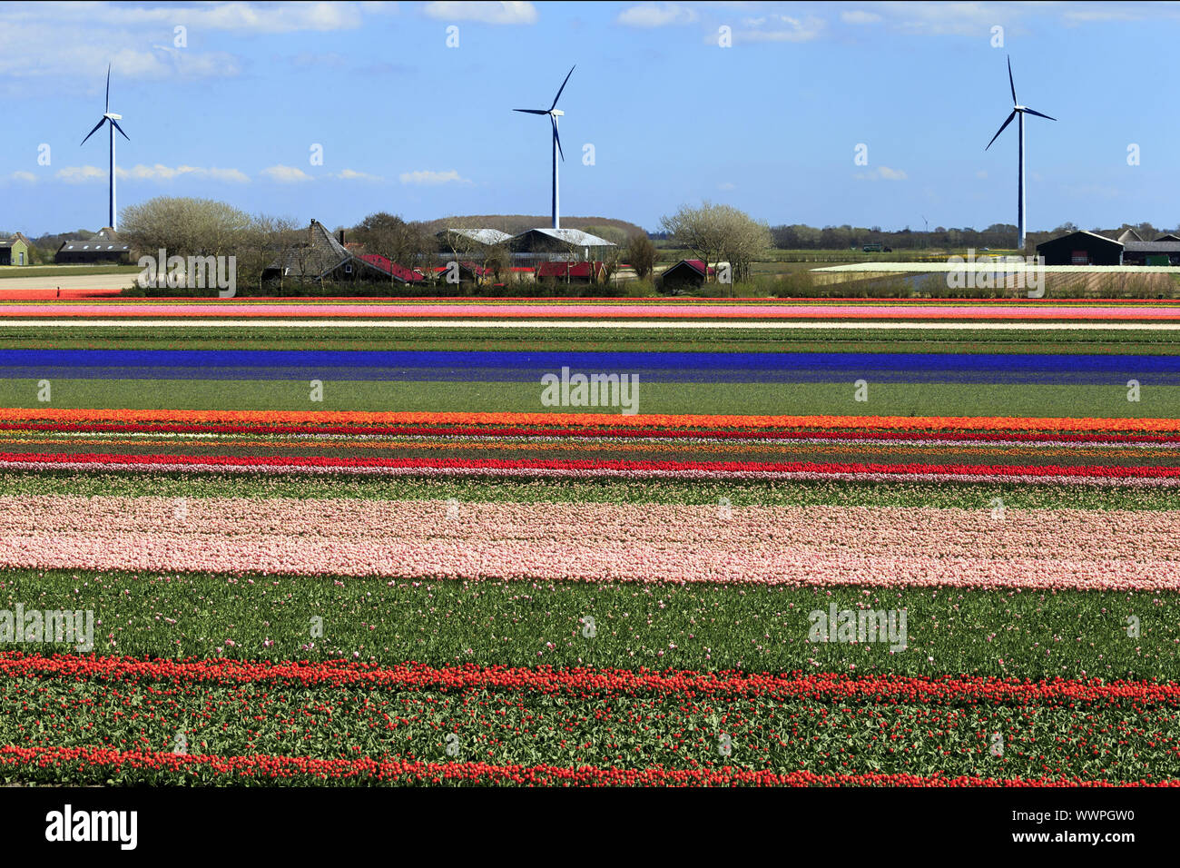 Holland europe travel tourism hi-res stock photography and images - Alamy