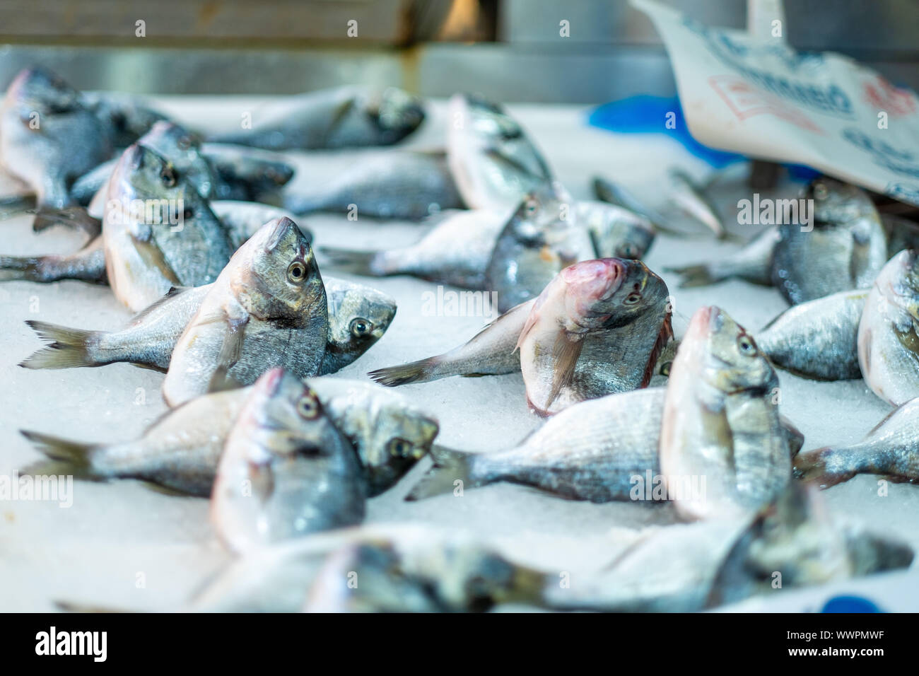 Athens city life Varvakios Fish Market Stock Photo Alamy