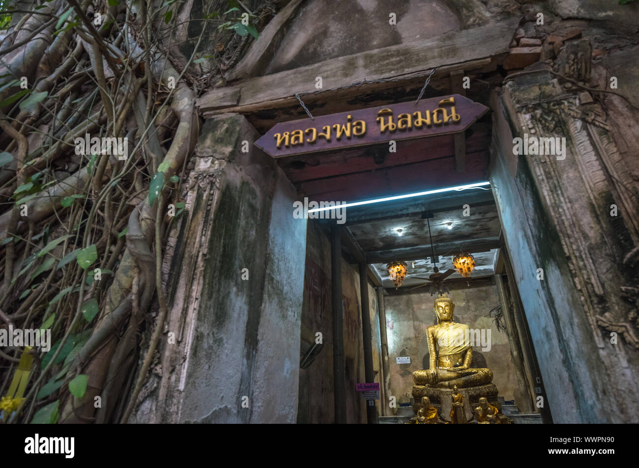 Wat Bang Kung, The Banyan tree temple, Amphawa, Thailand Stock Photo