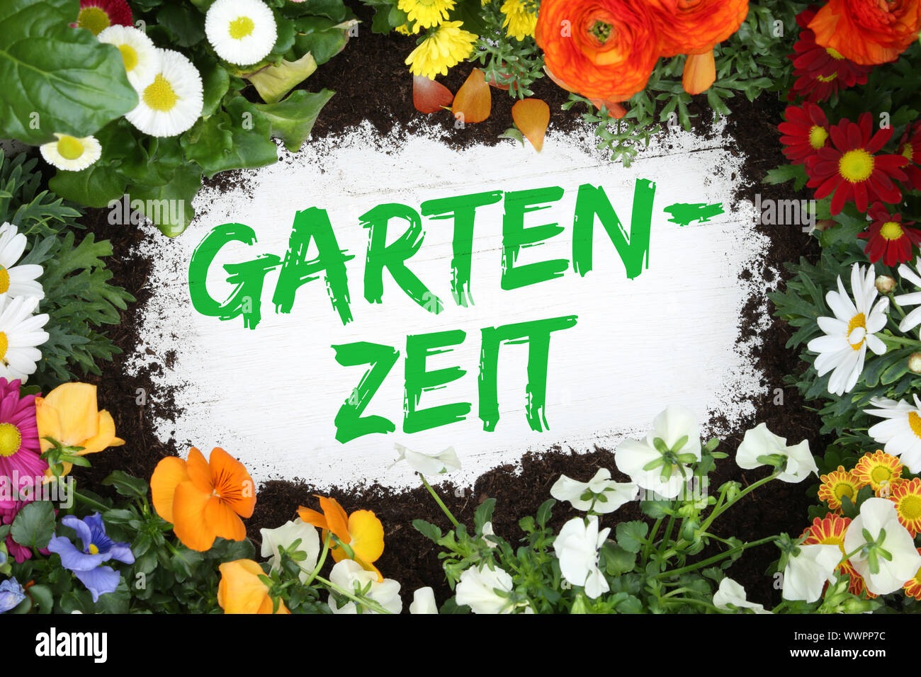 Garden Time Time for Garden with Flower Flower Flower Stock Photo