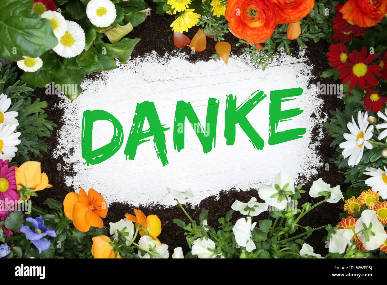 Thank you card garden with flowers flower Stock Photo
