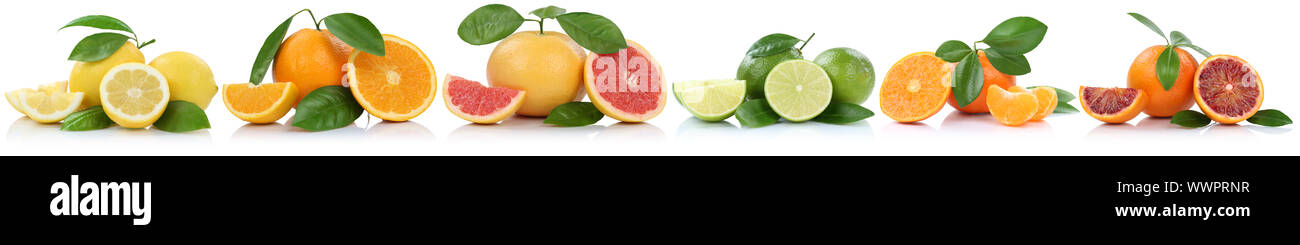 Collection oranges lemons mandarins grapefruit fruits isolated in a series of clipping isolated Stock Photo