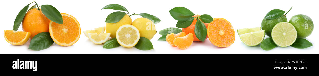 Collection oranges lemons mandarins fruits in a row exempted from clipping Stock Photo