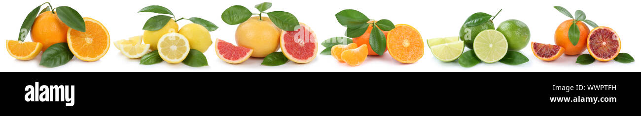 Collection oranges lemons mandarins grapefruit fruits exempted in a row cut-out Stock Photo