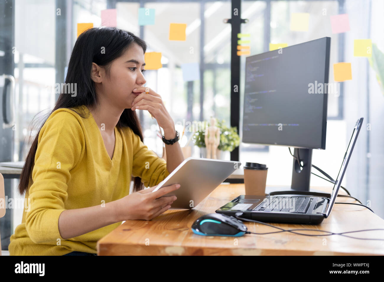 Programmers and developer teams are coding and developing software ...