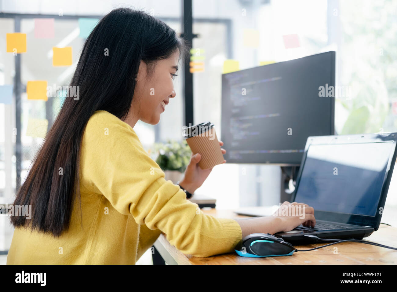 Programmers and developer teams are coding and developing software. Stock Photo
