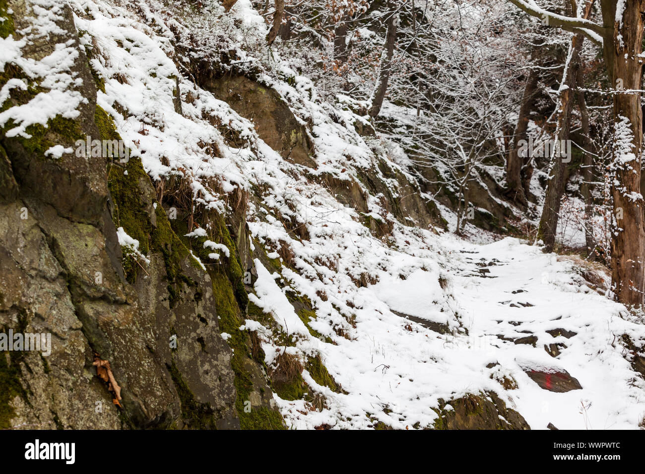 Selketal hiking trail in winter Stock Photo