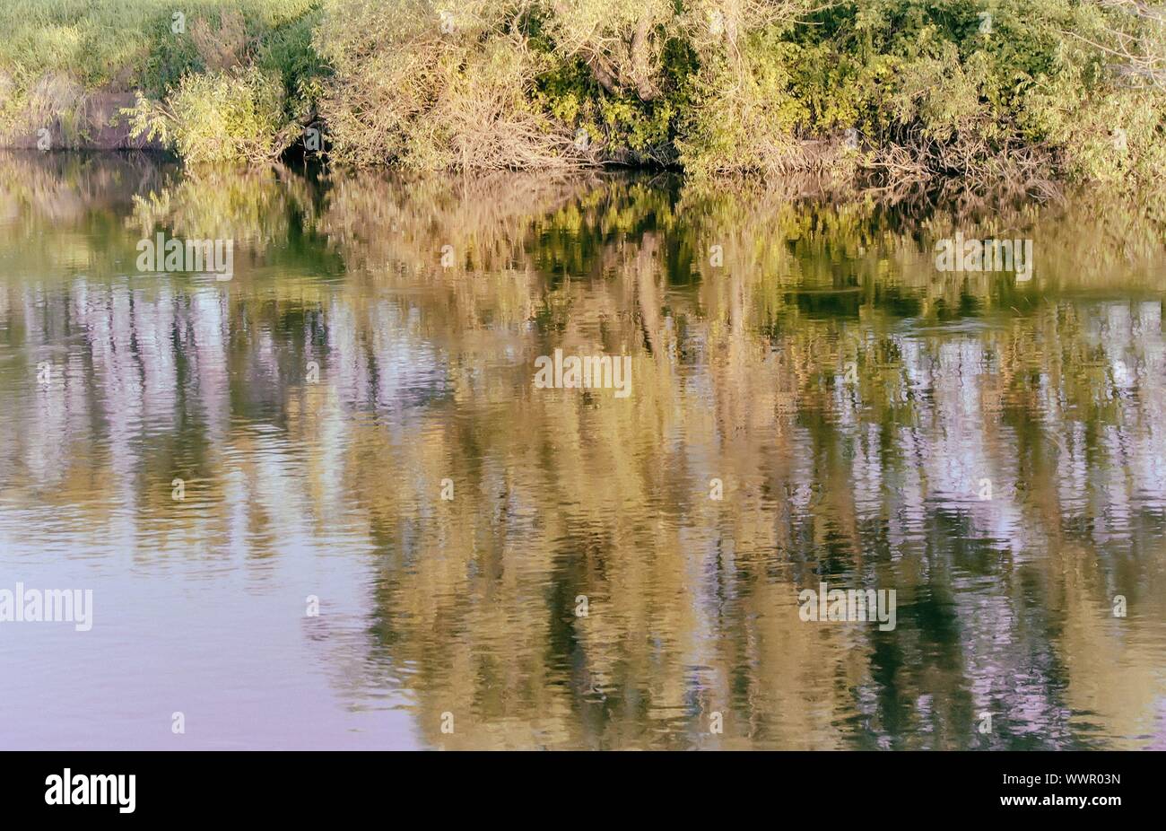 The autumn wood on the bank of the big beautiful lake Stock Photo - Alamy