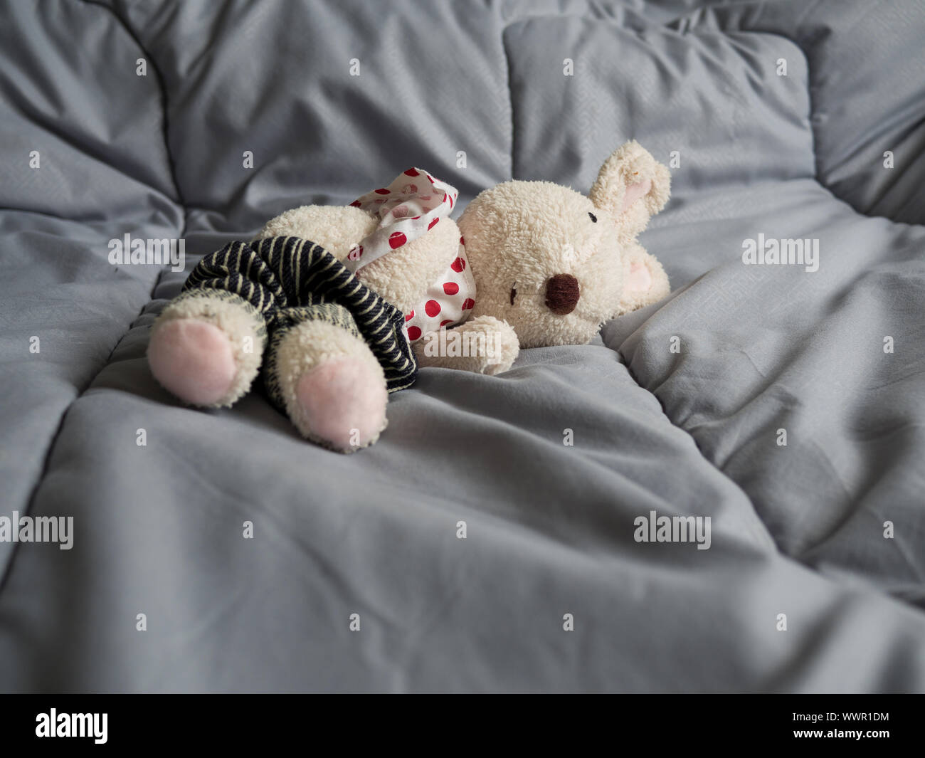 Rabbit doll that was stripped of clothes, statutory rape concept Stock Photo