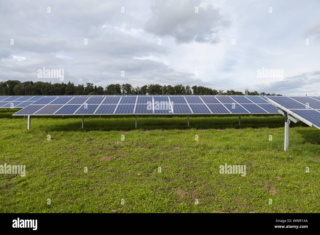 Field with blue siliciom solar cells alternative energy Stock Photo