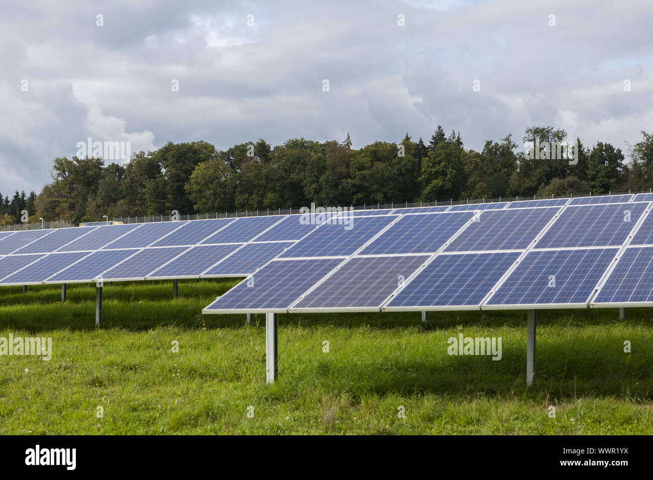 Field with blue siliciom solar cells alternative energy Stock Photo