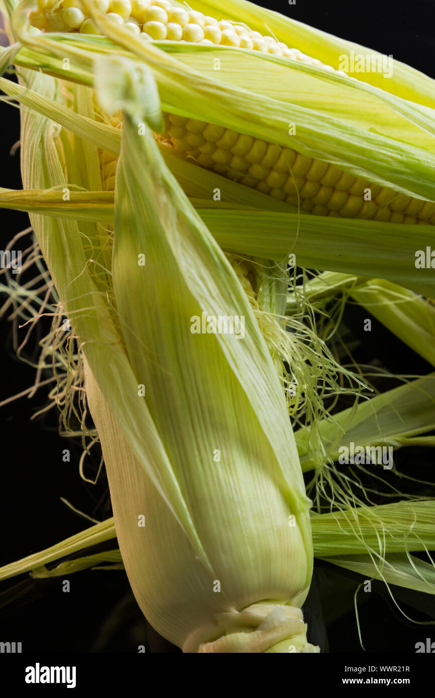Fresh corn on the cob over a black background Stock Photo