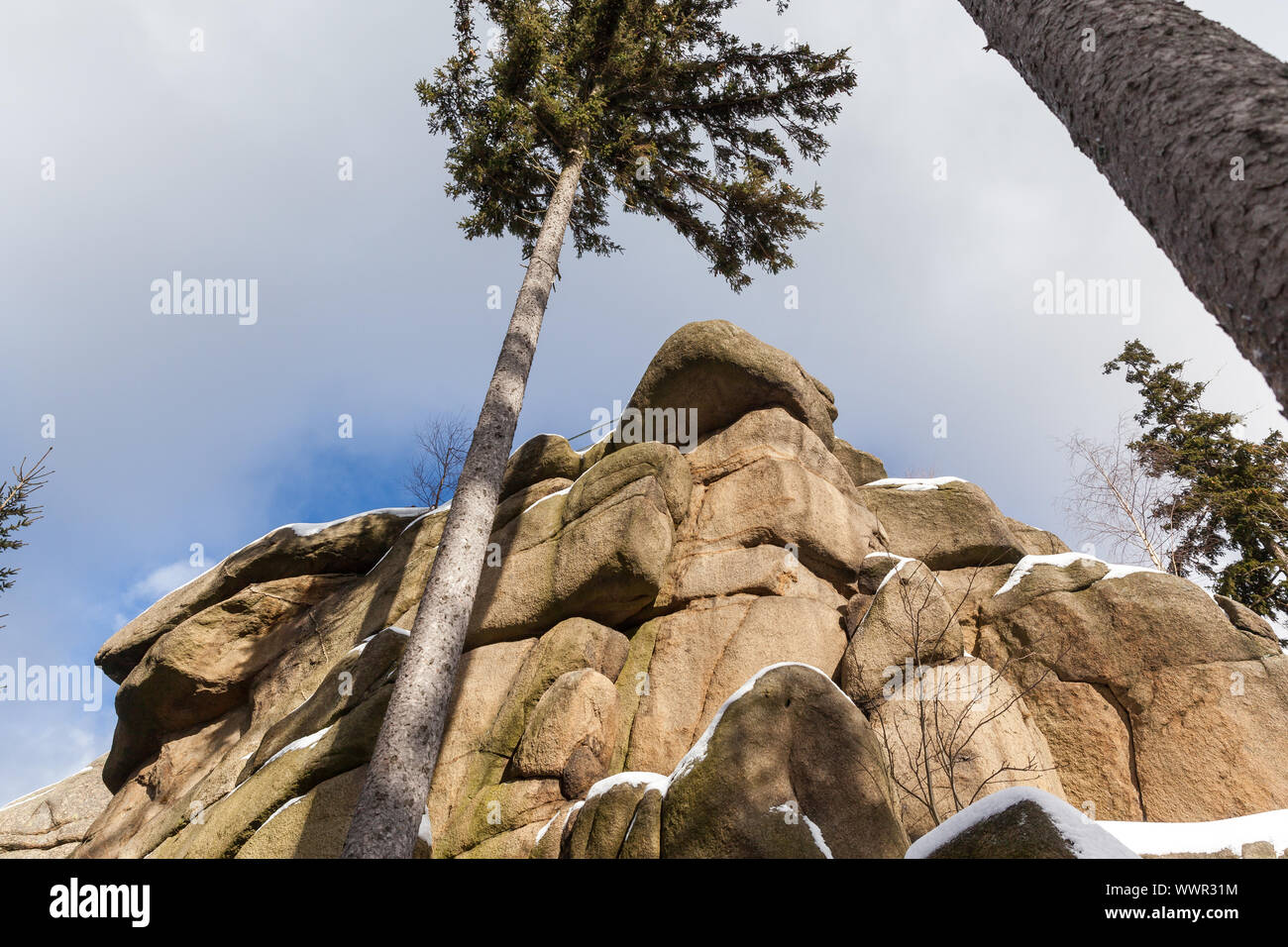 Hohnekamm National Park Harz in winter Stock Photo