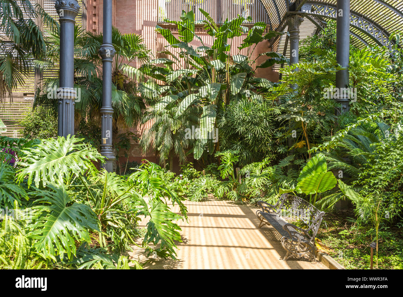 Tropical greenhouse Umbracle in the Parc de la Ciutadella, Barcelona Stock Photo - Alamy