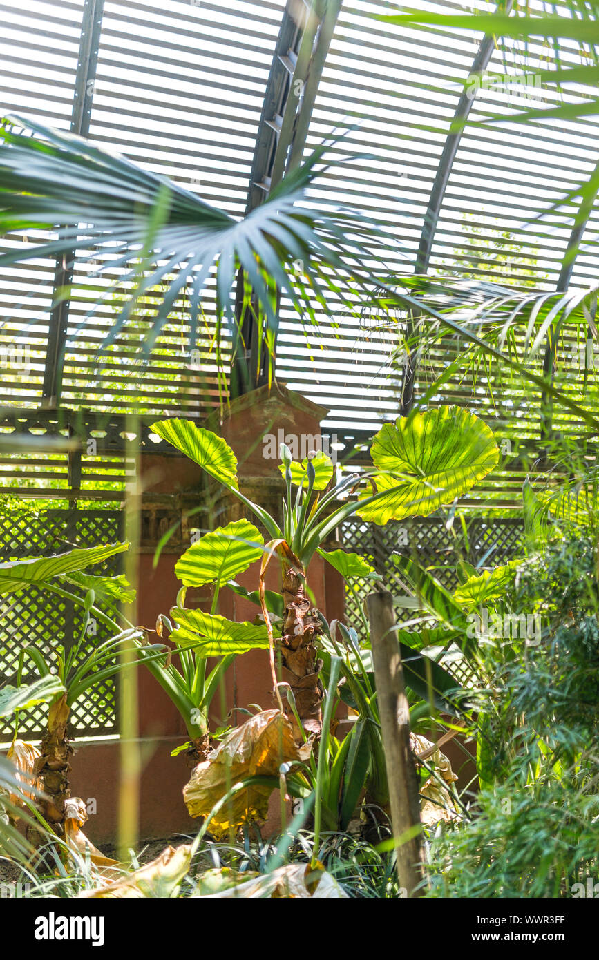 Tropical greenhouse Umbracle in the Parc de la Ciutadella, Barcelona Stock Photo