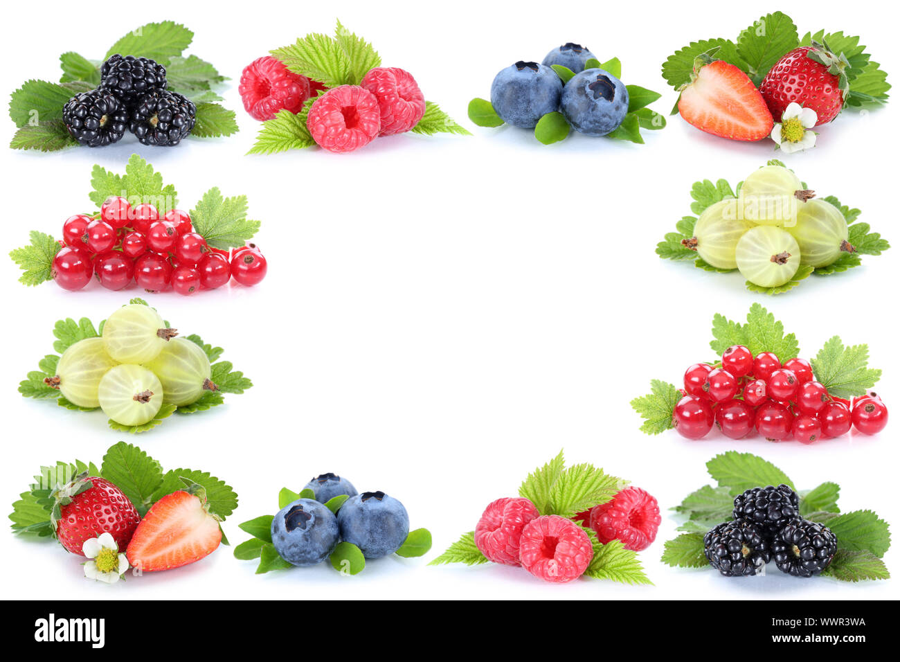 Close-up of Berries on a Person's Palm · Free Stock Photo, image size:1300x956