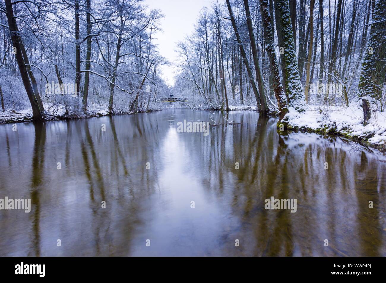Winter forest with beautiful river. Trees reflecting in water of river. Beautiful winter landscape Stock Photo