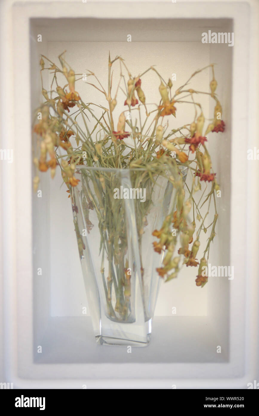 Beautiful dead flowers Stock Photo Alamy