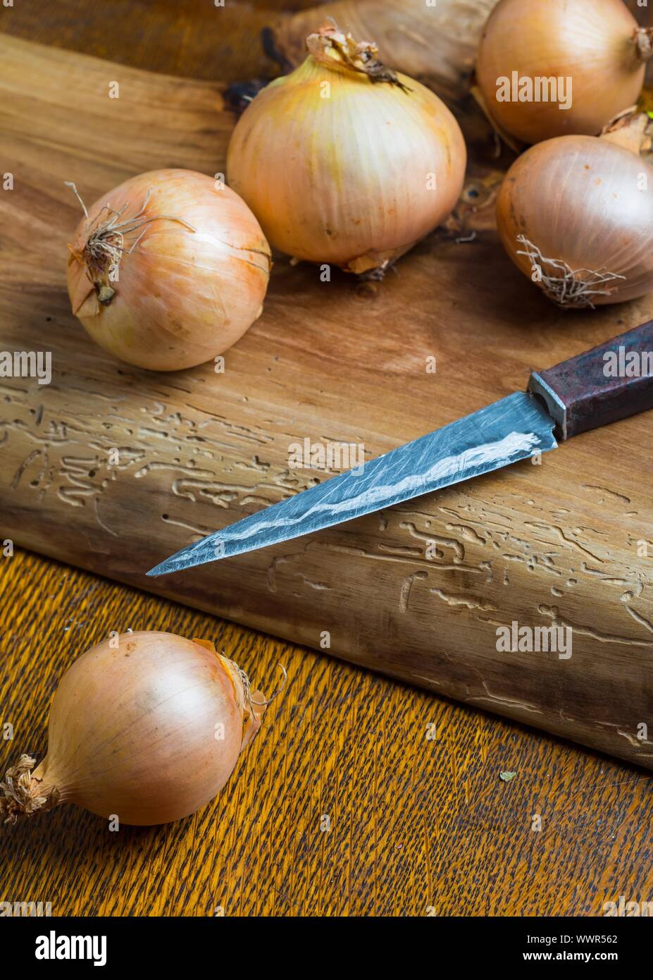 Onion bulb shoot hi-res stock photography and images - Alamy