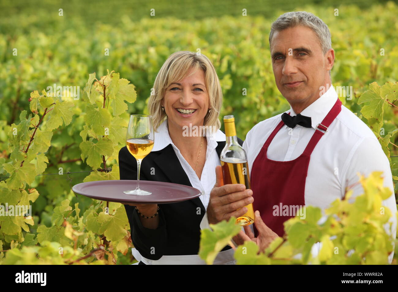 Wine growers on their crops Stock Photo Alamy
