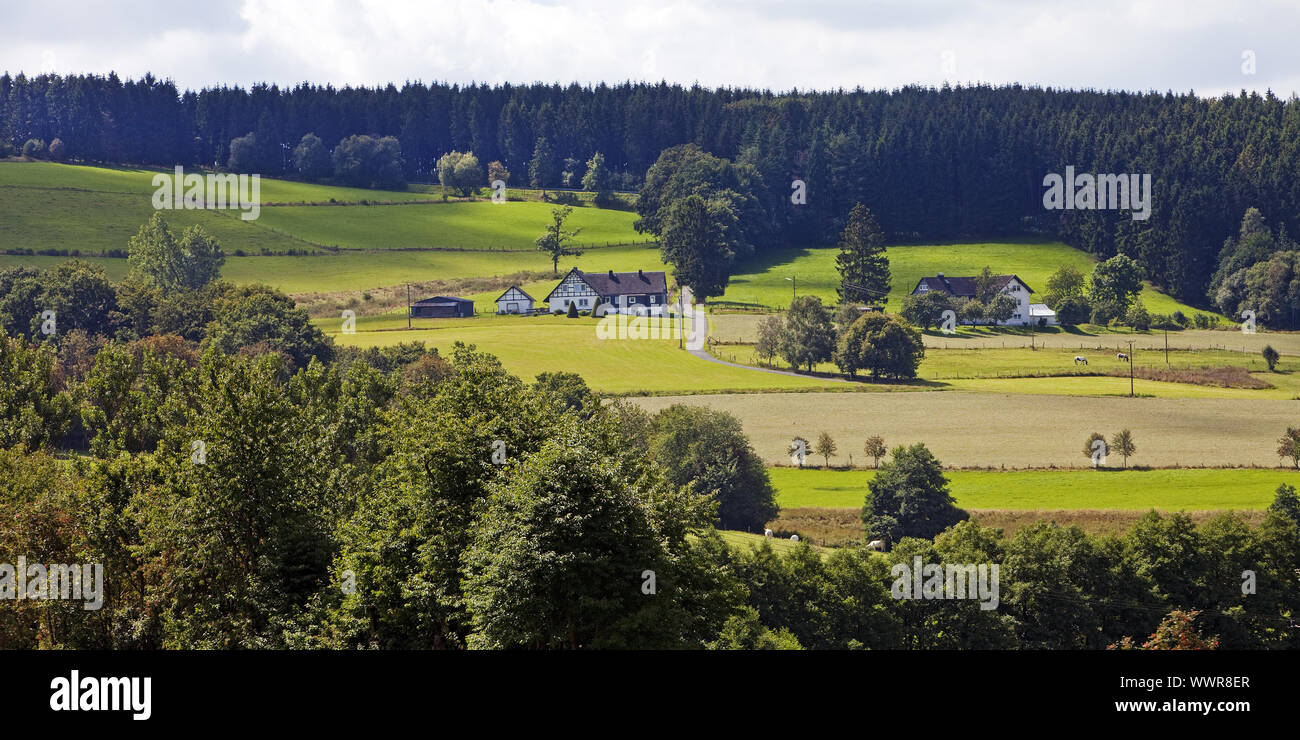 landscape at Sassenhausen, Bad Berleburg, Siegerland, North Rhine-Westphalia, Germany, Europe Stock Photo