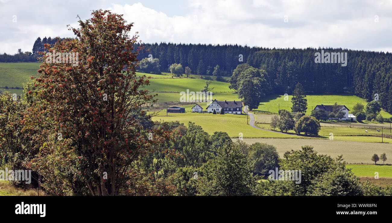 landscape at Sassenhausen, Bad Berleburg, Siegerland, North Rhine-Westphalia, Germany, Europe Stock Photo