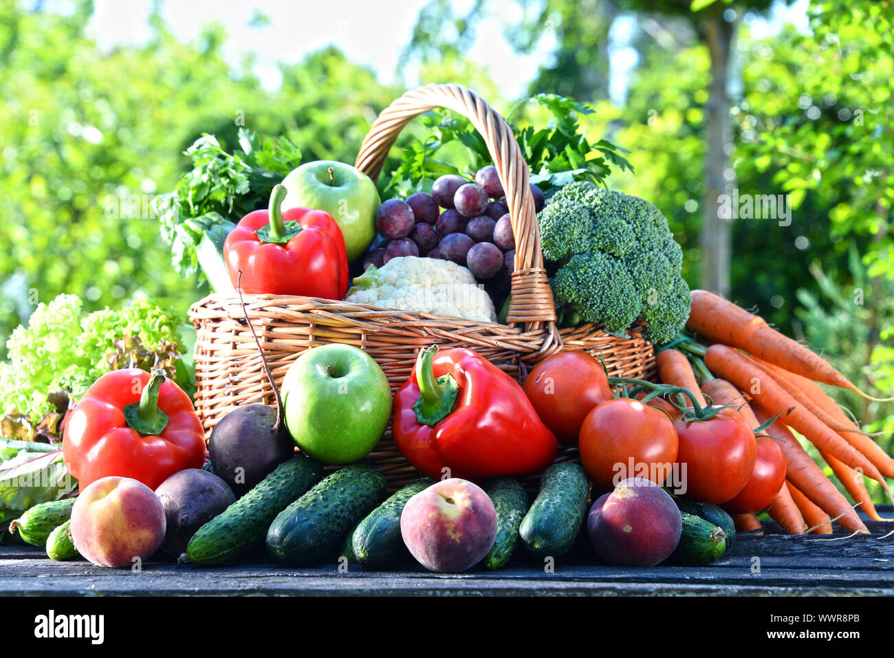 Variety of fresh organic vegetables and fruits in the garden. Balanced diet Stock Photo