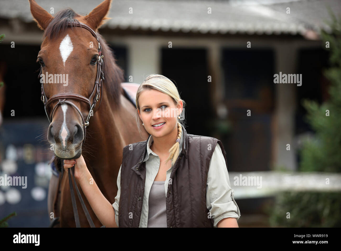 young woman taking care of her horse Stock Photo - Alamy