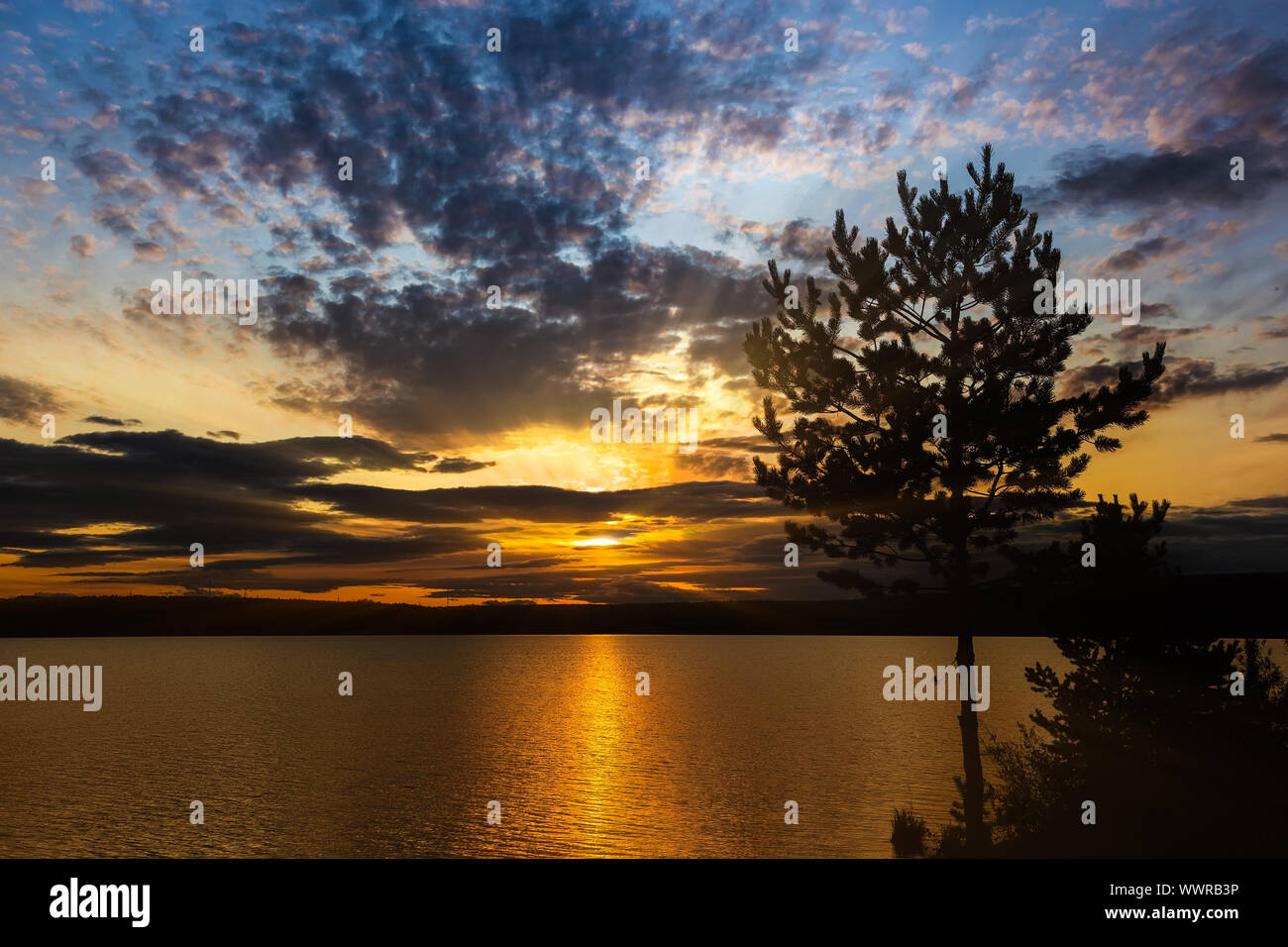 Colorful sunset on the lake with pine silhouette in the foreground Stock Photo