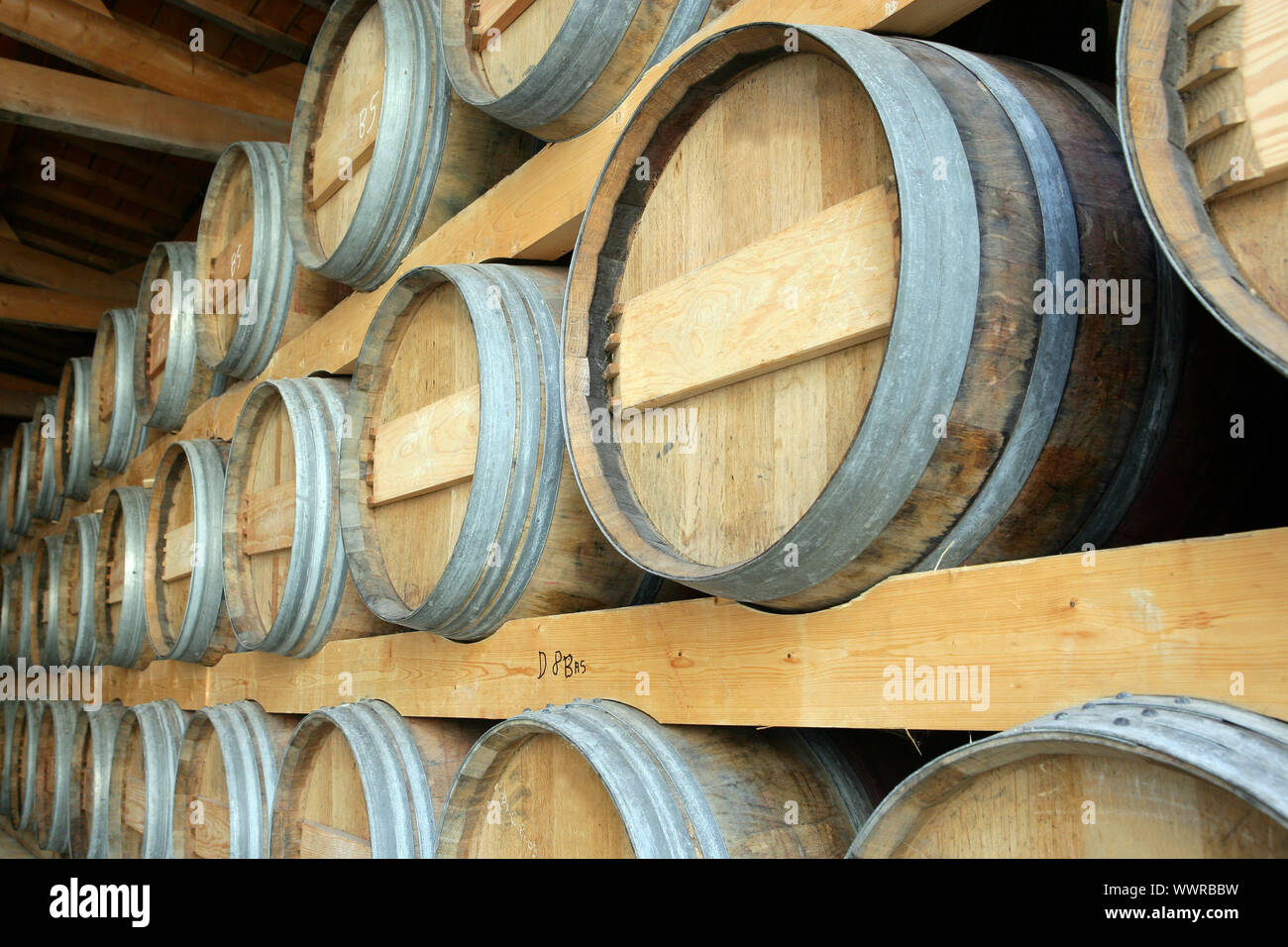 Barrels stored in a cellar Stock Photo Alamy