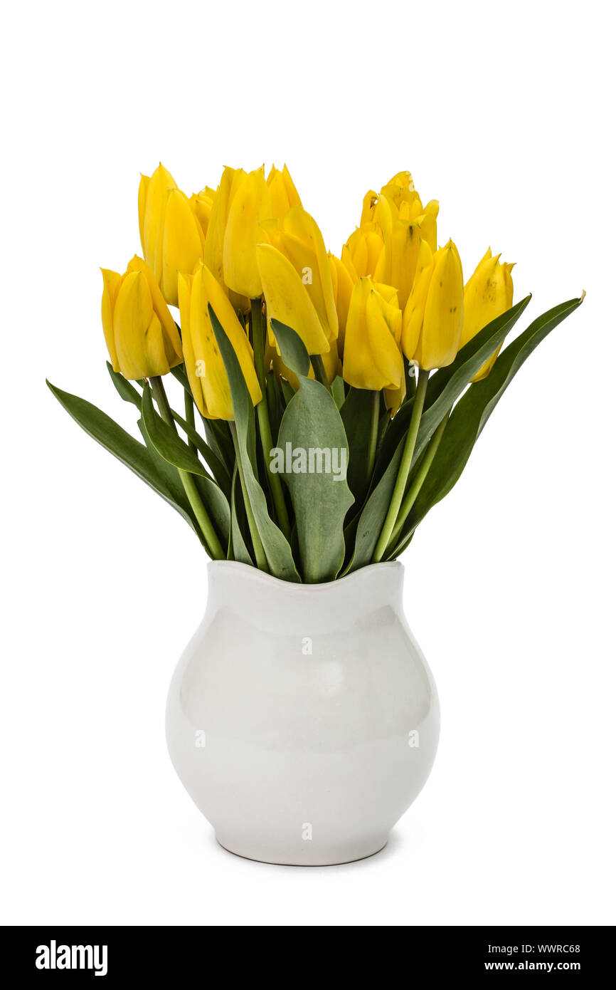 Bouquet from yellow tulips in vase, isolated on white background Stock ...
