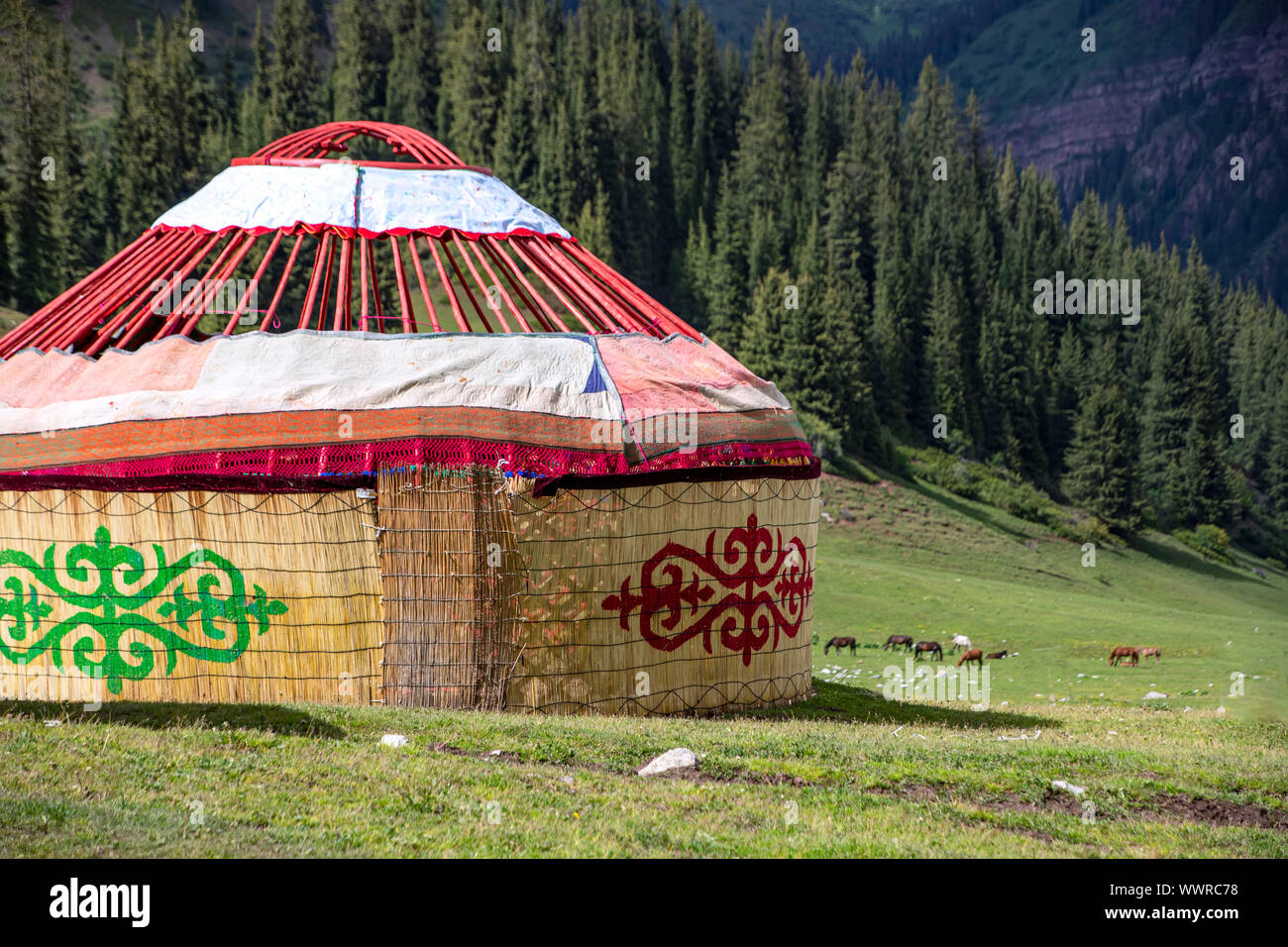 Almost ready-made Kyrgyz traditional yurt house on the background of mountains covered with coniferous forest. Kyrgyzstan Stock Photo